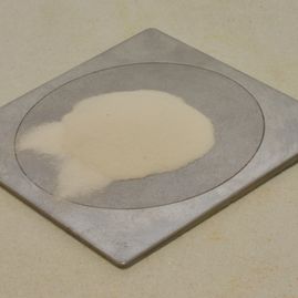 Spray Dried Products